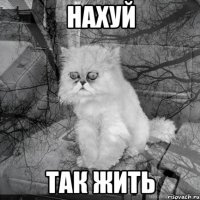 Нахуй так жить