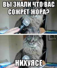 Вы знали что вас сожрет Жора? Нихуясе