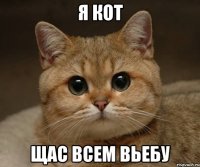 я кот щас всем вьебу