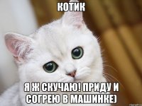 Котик Я ж скучаю! Приду и согрею в машинке)