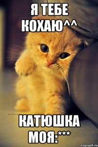 я тебе кохаю^^ Катюшка моя:***