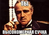 Ты Высокомерная сучка