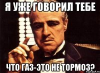 я уже говорил тебе что газ-это не тормоз?