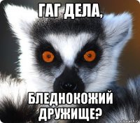 Гаг дела, бледнокожий дружище?