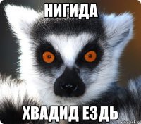 нигида хвадид ездь