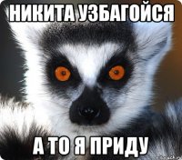 Никита узбагойся А то я приду