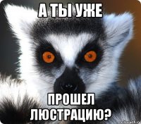 а ты уже прошел люстрацию?