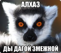 Алхаз Ды дагой змежной