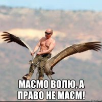  Маємо волю, а право не маєм!