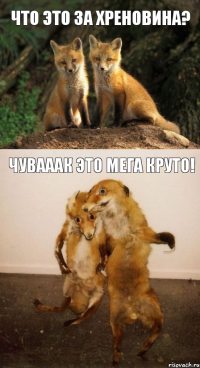 ЧТО ЭТО ЗА ХРЕНОВИНА? ЧУВАААК ЭТО МЕГА КРУТО!