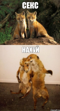 секс нахуй