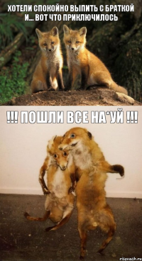 хотели спокойно выпить с браткой и... вот что приключилось !!! пошли все на*уй !!!