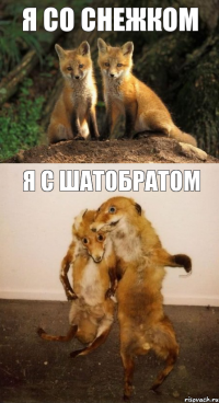 я со снежком я с шатобратом