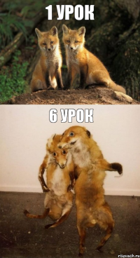 1 урок 6 урок