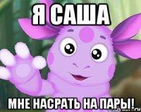 Я Саша Мне насрать на пары!