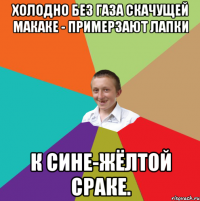 Холодно без газа скачущей макаке - примерзают лапки К сине-жёлтой сраке.