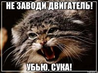 НЕ ЗАВОДИ ДВИГАТЕЛЬ! Убью, СУКА!