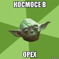 Космосе в Орех