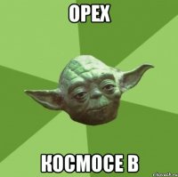 Орех Космосе в