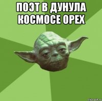 Поэт в дунула космосе орех 