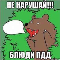 Не нарушай!!! Блюди ПДД