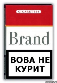 ВОВА НЕ КУРИТ