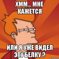 хмм... мне кажется или я уже видел эту белку ?