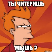 Ты ЧиТеРиШь МыШь ?