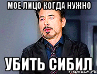 Мое лицо когда нужно убить сибил