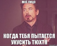 МОЁ ЛИЦО КОГДА ТЕБЯ ПЫТАЕТСЯ УКУСИТЬ ТЮХТЯ