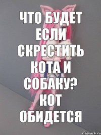 Что будет если скрестить кота и собаку? Кот обидется