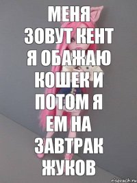 меня зовут кент я обажаю кошек и потом я ем на завтрак жуков