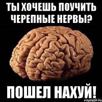 Ты хочешь поучить черепные нервы? Пошел нахуй!