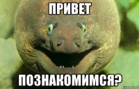 привет познакомимся?