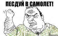 Песдуй в самолет!