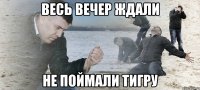 Весь вечер ждали Не поймали тигру