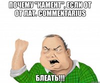 почему "кАмент", если от от лат. commentarius БЛЕАТЬ!!!