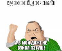 Иди в свой двор играй! А в мой даже не суйся,пэтуш!