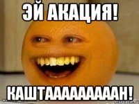 Эй акация! КаштАААААААААН!