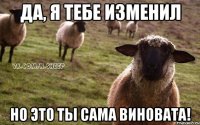 да, я тебе изменил но это ты сама виновата!