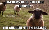 Тебе похуй на то, что я тебе говорю? Я не слышал, что ты сказала