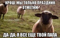 крош, мы только праздник отметим да-да, я все еще твой папа