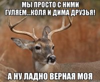 Мы просто с ними гуляем...Коля и Дима друзья! А ну ладно верная моя