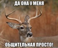 да она у меня общительная просто!