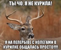 Ты чо, Я не курила! я на пеперыве с колегами в курилке общалась просто!!!!