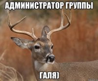 Администратор группы Галя)