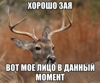 хорошо зая вот мое лицо в данный момент