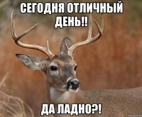 Сегодня отличный день!! Да ладно?!