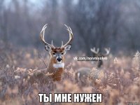  ты мне нужен