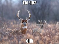 Ты чо? ска